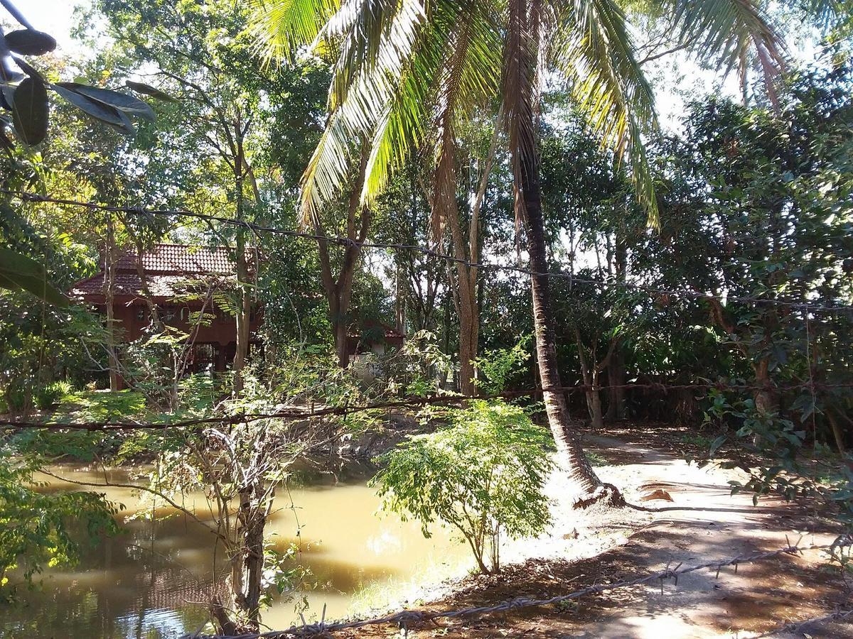 Your Home In Mae Rim Ban Muang Pha Eksteriør billede
