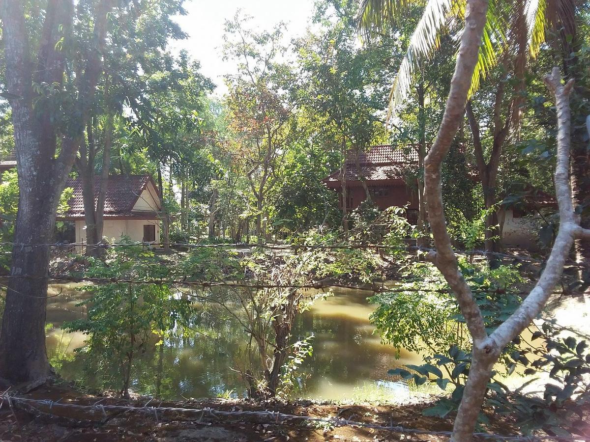 Your Home In Mae Rim Ban Muang Pha Eksteriør billede