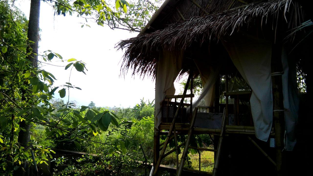 Your Home In Mae Rim Ban Muang Pha Eksteriør billede