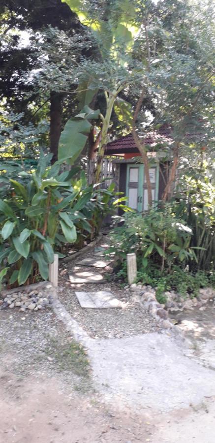 Your Home In Mae Rim Ban Muang Pha Eksteriør billede